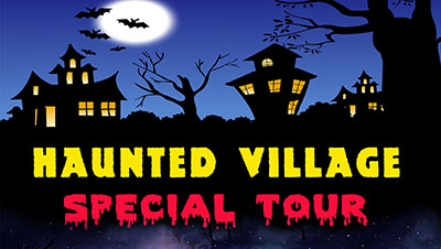 illustrated haunted house with spooky trees and bats